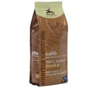 alce nero Caffe'100% arabica bio moka f