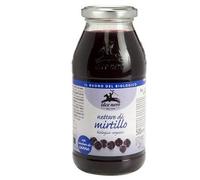 Alce Nero Nettare di Mirtillo Biologico 500 ml