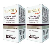 Alchemia Benoit Lactobacillus Plantharum Capsule 2x30 pz Capsule