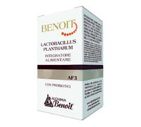 Benoit lactobacillus plantharu
