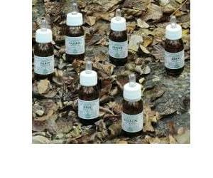 Alchemica Valgelata KA PLANTA OLIO MASSAGGIO 100 ML