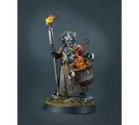 Alchemite Warforger città di sigmar COMMISSIONE dipinto