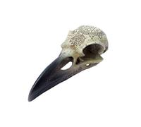 Alchemy Gotico Cranio-Corvo - Omega | Fantasy Raben-Totenkopf con Magischen Simboli, Dipinto a Mano