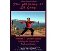 Alchemy of Qi Gong Vol.2 - Sholin Basics-Building the Fou