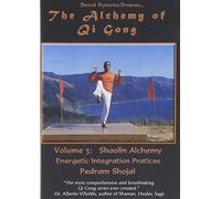 Alchemy of Qi Gong Vol.3 - Sholin Alchemy-Energetic Inter