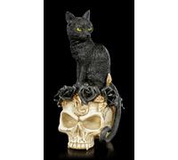 Alchemy Teschio - Gatto Su Gotico Teschio Gattini Altardeko