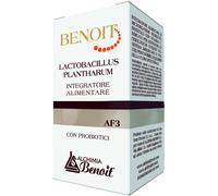 alchimia benoit Benoit lactobacillus plantharum 30 capsule