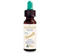 Alchimia Benoit Fiori di Bach Benoit Clematis in gocce, flacone 10ml
