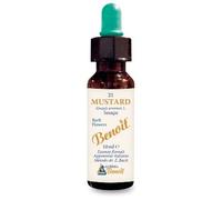 Alchimia Benoit Fiori di Bach Benoit Mustard gocce, tristezza 10ml