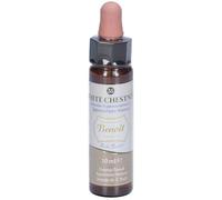 Alchimia Benoit Fiori di Bach Benoit White Chestnut gocce, 10ml