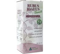 alchimia benoit Rubus ideaus benoitoit gemmoderivato 50 ml