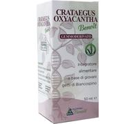 alchimia benoit srl Crataegus oxianta gemmoderivato 50 ml