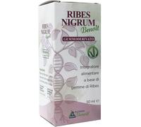 alchimia benoit srl Ribes nigrum gemmoderivato 50 ml
