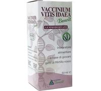 alchimia benoit Vaccinium vitis idaea gemmoderivato 50 ml