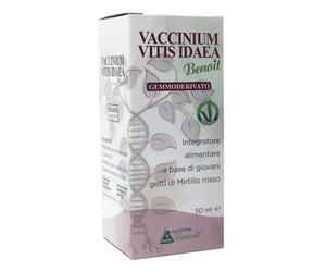 Alchimia Benoit VACCINIUM VITIS IDAEA GEMMODERIVATO 50 ML
