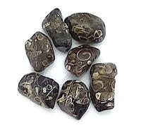 ALCHIMIA- Pietra burattata cm.2-3 cristalloterapia 1 pezzo Turitella