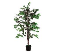 ALCO - K700136 - Pianta ornamentale - ficus - H 120cm - Alco - 89863 - Conf. da 1 Pz. - K700136