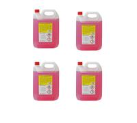 Alcool Etilico Denaturato 99,9° Rosso 4x5L per Pulizia Domestica e Professionale