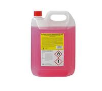 Alcool Etilico Denaturato 99,9° Rosso 5 L per Pulizia Domestica e Professionale