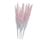 ALCXAZS 15 pezzi/set di rami di pampa essiccati selezionati con un tocco decorativo Per unico per decorazioni per la casa in stile boho, vasi da matrimonio selezionati