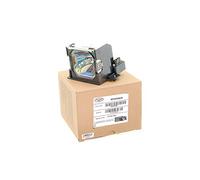 Alda PQ Professional, Lampada per proiettore compatibile con POA-LMP98, 003-120239-01, 610 325 295 per CHRISTIE LW300, LW300 EIKI LC-W3, LC-W3 SANYO PLV-80, PLV-80, PLV-80L Proiettori