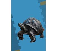ALDABRA GIANT TORTOISE: ANIMALS OF THE WORLD, Positive Affirmation, Motivational and Inspirational Notebook, Animal Notebook, Birthday Gifts, ... Notebook Gifts, Anniversary Gifts, For All...