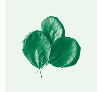 Alder Ego - II -COLOURED-