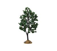 Alder Tree Cod. 94538