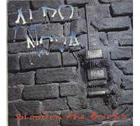 Aldo Nova - Blood on the Bricks