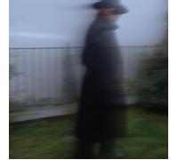 Alejandro Escovedo Echo Dancing (CD) Album