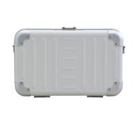 Aleon Fortis Pochette 21 cm color argento