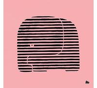 Aleph. Curiosi di segni. Ediz. a colori