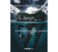 Alesios: Vivre Irma Hurricane St Martin 2017