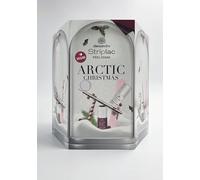 alessandro Calendario dell'Avvento Striplac Peel or Soak - VEGAN