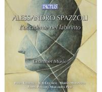 L'Occidente Nel Labirinto: Chamber Music - Alessandro Spazzoli (Audio Cd)