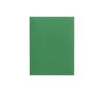 Alevar Cartellina 3 Lembi in Cartoncino Bristol 200 gr, Formato 25x34,5 cm, Colore Verde, Confezione da 25 Pezzi