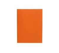 Alevar Cartelline Semplici in Cartoncino Bristol 200 gr, Formato 25x34 cm, Colore Arancio, Confezione da 50 Pezzi