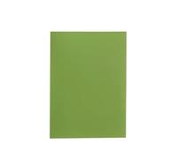 Alevar Cartelline Semplici in Cartoncino Bristol 200 gr, Formato 25x34 cm, Colore Verde Nilo, Confezione da 50 Pezzi