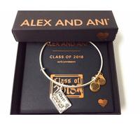 Alex And Ani i 2018 Bracciale Rigido Rafaelian Argento Nuovo Tag Scheda