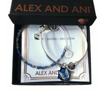 Alex and Ani Godspeed Set Di 2 Bracciale Rigido Argento Lucido Nuovo W/ Tag Card