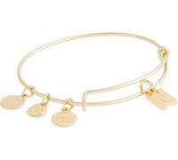 Alex and Ani Initial N III Bangle Bracelet Shiny Gold One Size (A20EBINT14SG)