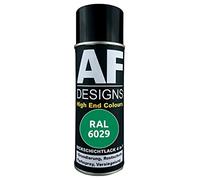 Alex Flittner Designs vernice protettiva 4 in 1 RAL 6029 verde menta, spray per la protezione dalla ruggine, bomboletta spray