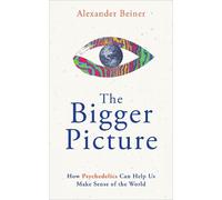 Alexander Beiner The Bigger Picture (Tascabile)