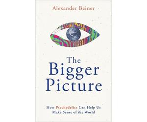 Alexander Beiner The Bigger Picture (Tascabile)