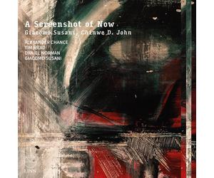 Alexander Chance / Chinwe D. John / Tim Mead: Giac - A Screenshot Of Now - Cd