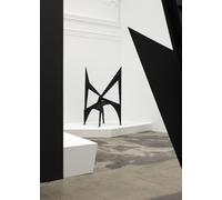 Alexander S. C. Rower Calder: Nonspace (Copertina rigida)
