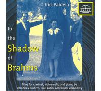 Alexander Von Zemlinsky Im Schatten Von Brahms Vol. 1 (Trio Paideia) (CD) Album