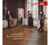 Alexander Zemlinsky Zemlinsky: Piano Trio in D Minor/... (CD) Album