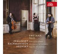 Alexander Zemlinsky Zemlinsky: Piano Trio in D Minor/... (CD) Album