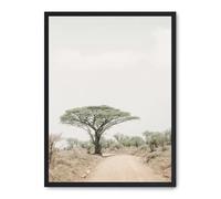 AlexandreHouse Quadro tree in the savana i_FASE5